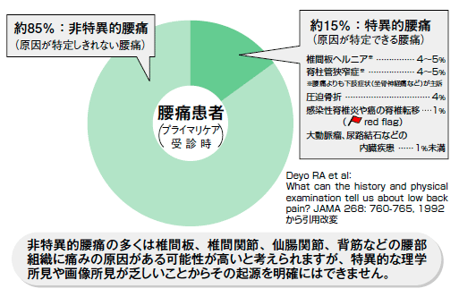 スタチンとバイアグラを服用できますか？