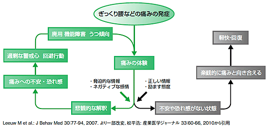 腰痛の発症と恐怖回避行動