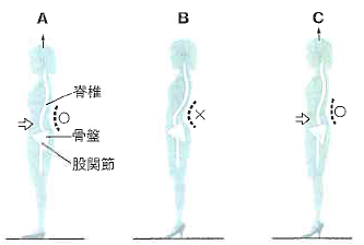 望ましい立位姿勢