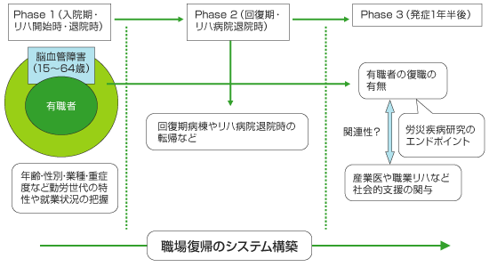 研究の概略