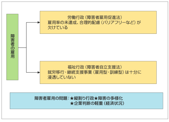 わが国の障害者雇用実態